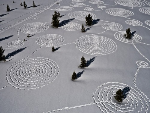 To create these masterpieces Sonia Hinrihsen assembled a team of 10 people,with snowshoes