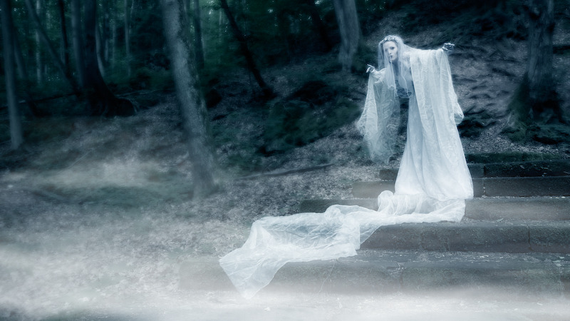 serapart:
“ Ghostly Vision by Nightshadow-PhotoArt
”