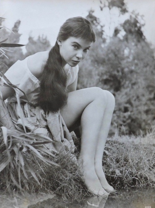 opalinedream: Leslie Caron, 1953