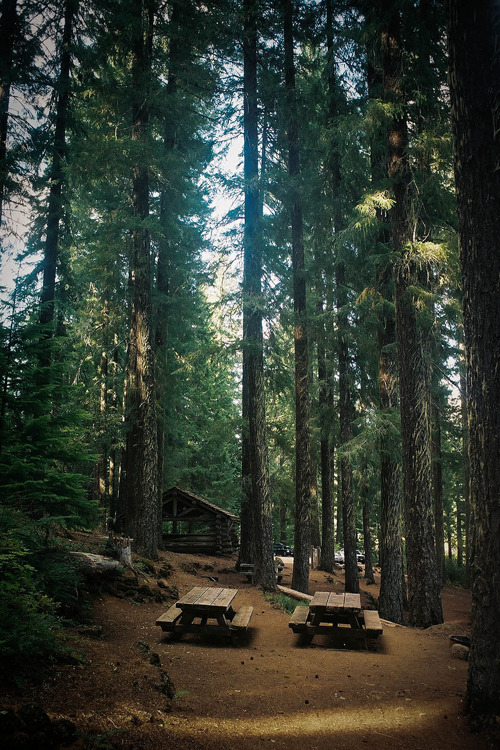 plasmatics-life:  Side by Side | (by Emi Lenox) 