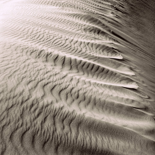 sanddune