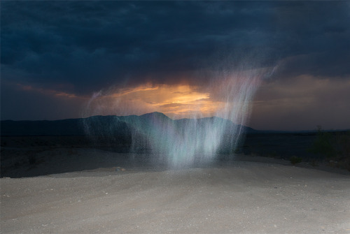 lafilleblanc:  Inka & Niclas Lindergård Becoming Wilderness, 2013-2014 