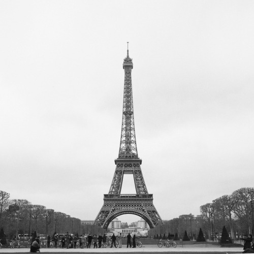 Paris, January 29, 2016