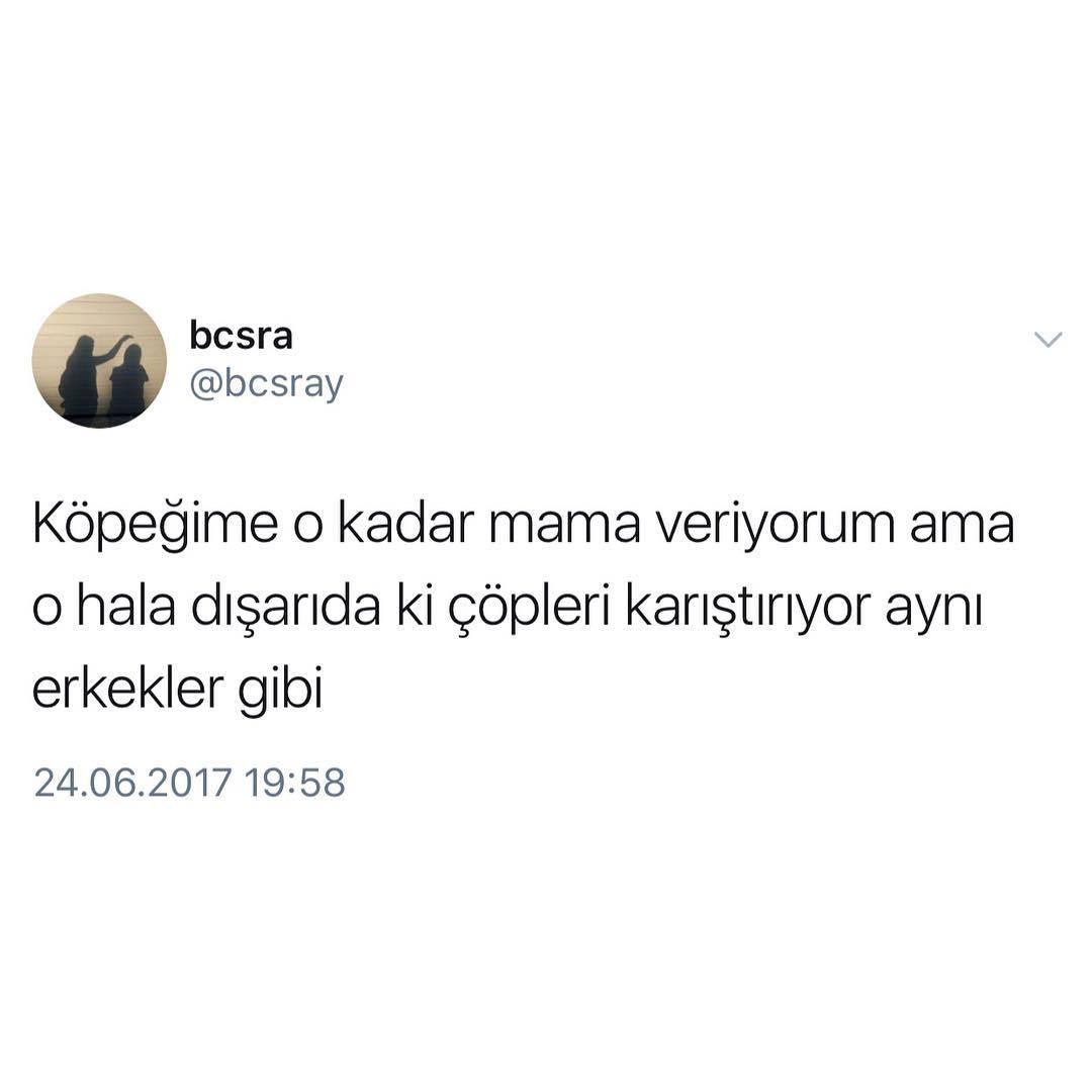 Köpeğime o kadar mama...