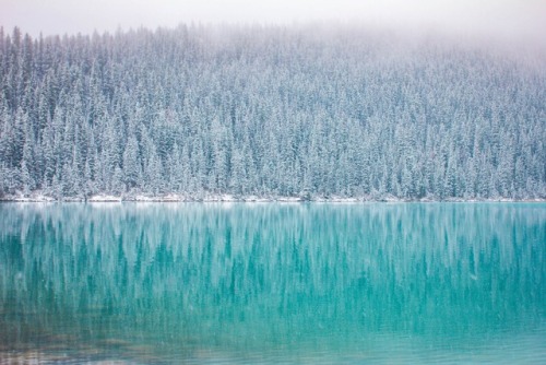 expressions-of-nature: by Andreea Chidu