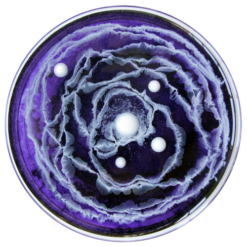 heracliteanfire:Petri dish paintings by Klari Reis. (via The Daily Dish 2013)