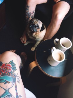 sailorscent:   -following back similar-  similar what similar dogs similar legs similar coffee cups those are our legs and our dog and our coffee fuck off with your shit