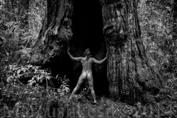 marcuslikesit:  Nude in Redwood Forest California