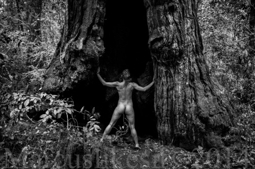 marcuslikesit:  Nude in Redwood Forest California Photography by Marcuslikesit