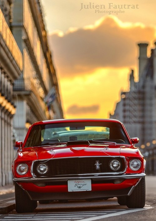 dreamer-garage: 1969 Ford Mustang Sportsroof (via) The Hottest year for Mustang in my opinion. Just 