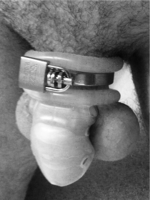 dissonanzz:  Me in a Birdlock, “tuned” with steel parts from another chastity device.  Locked myself 31.08. evening, plan to stay locked at least till 05.09. Any encuragment is welcome. Therefore: For any reblog, like, comment, etc., till 05.09. I