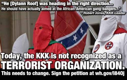 beyonceofmysticfalls:  daniellemertina:  smallrevolutionary:  chrismenning:  WE PETITION THE OBAMA ADMINISTRATION TO: Recognize the Klu Klux Klan as a domestic terrorist organization & make their eradication a Homeland Security priority.The North