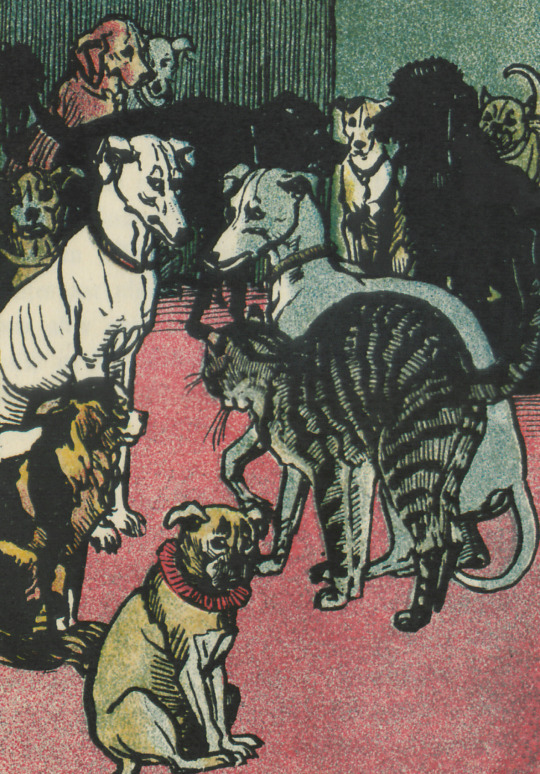 Lebensansichten des Katers Murr - E. T. A. Hoffmann - 1923 - via Staatsbibliothek zu Berlin