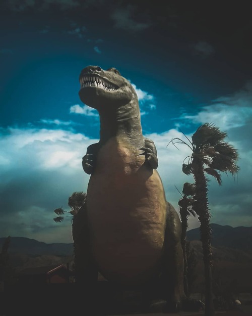 #mexicali_101_photos (at Cabazon Dinosaurs)www.instagram.com/p/CKX6caul1n4/?igshid=1lkts6zqo