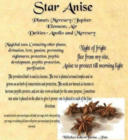 Star Anise ⭐️ #anise #staranise #usesforanise #herbsandspices #spices #kitchenwitch #powerfulherbs #