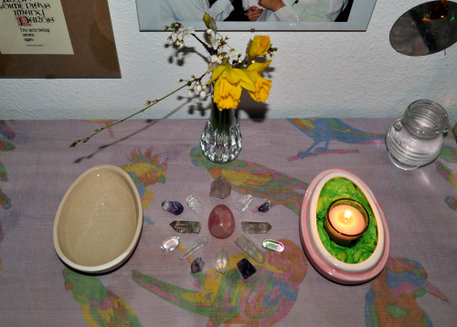 Small altar setup for Ostara:- Flowers from my garden- A small crystal wheel made of amethyst, quart