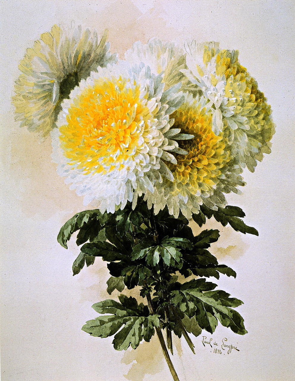 oldpaintings:  White and Yellow Mums,1894 by Paul   de Longpré  (1855–1911)