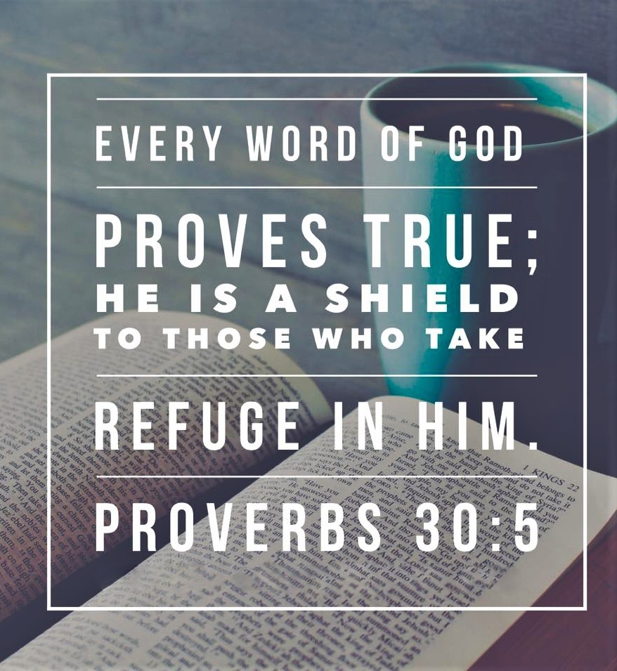 Proverbs 30 JahiraGenelia