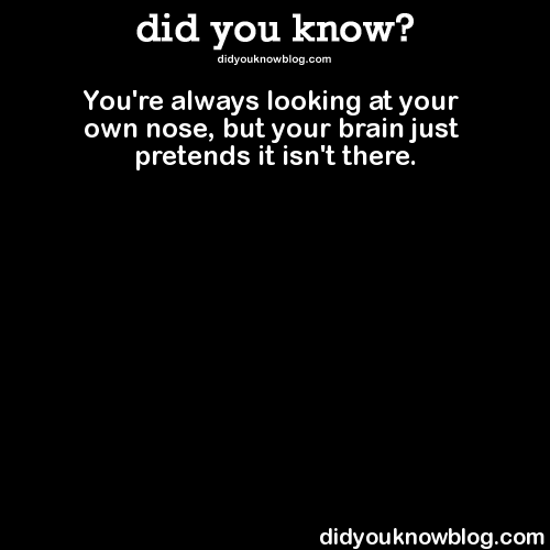 did-you-kno:  You’re always looking at your own nose, but your brain just pretends