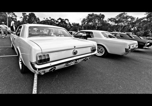 ford-mustang-generation:  Australia Day 2013 by evvvvan on Flickr.