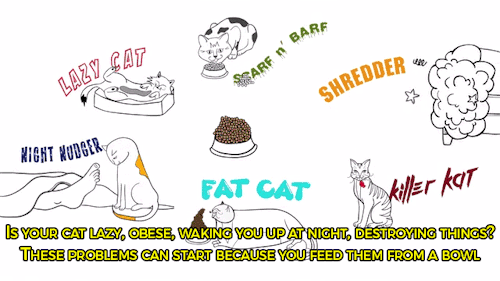 skeletosrex:  the-crazzle-jams:  sizvideos:  A veterinarian created a natural cat feeding system to keep your cat both happy and healthy. Get more information here  @planecrackers  wow this is rly cool 