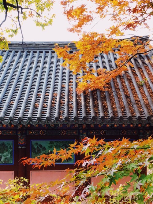 Autumn colors, Ansan Mountain and Bongwonsa Temple, Seoul.