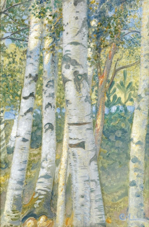 Birch Trees, Carl Larsson