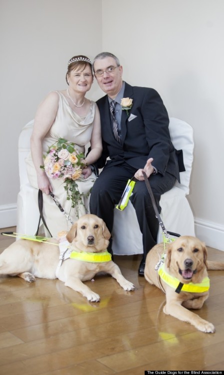 huffingtonpost:Blind couple weds after guide dogs bring them together.