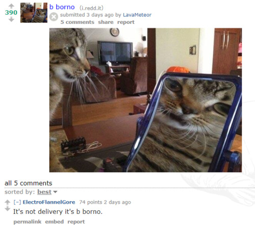 gluskin:Some of my favorite r/ambien posts 8/7/17