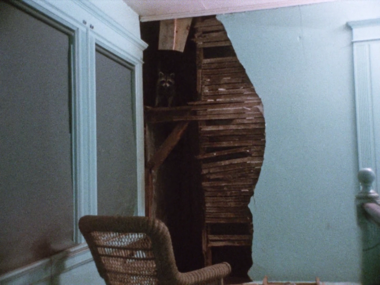 filmswithoutfaces:Grey Gardens (1975)dir. Albert Maysles, David Maysles, Ellen Hovde,