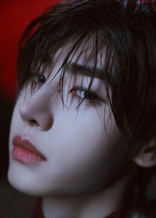 Screaming, Crying, Throwing Up, Ripping My Hair Out, Giggling, Literally Gnawing My Phone, Throwing My