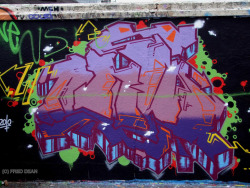 graffiti-censored:  Graffiti at Crosses Green,