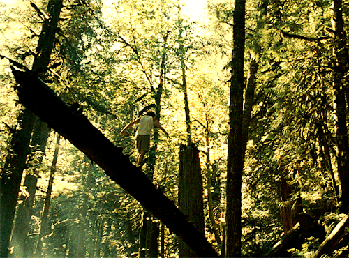 What if I were smiling and running into your arms? Would you see then what I see now? Into the Wild&