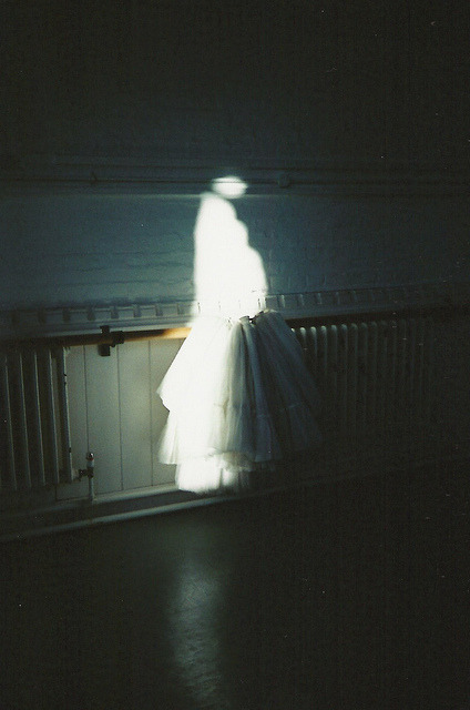 raises:  nature/vintage blog   