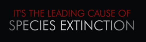 Livestock And Their Byproducts Actually Account For At Least 32,000 Million Tons Of Carbon Dioxide (CO2)