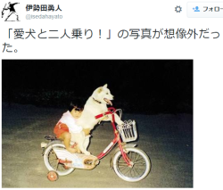 quotation2:  伊勢田勇人さんはTwitterを使っています: