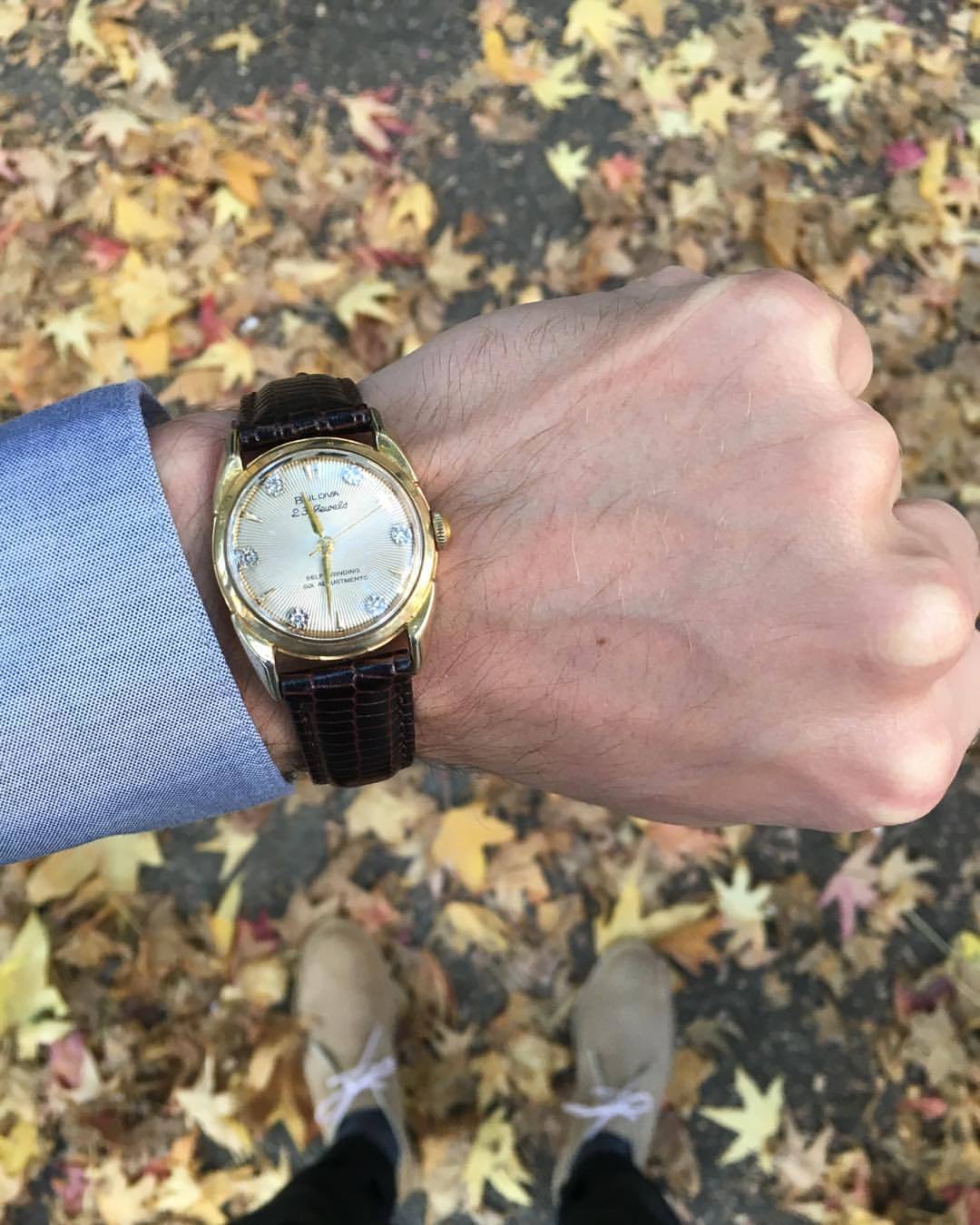rhapsodybrohemian:  Fall is cool. (Watch @bulova Shirt @dkny Socks @tommyhilfiger