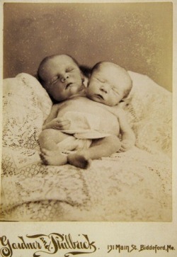 victoriana1313:  Post mortem photograph of