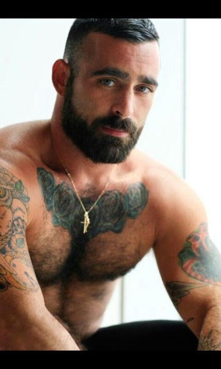 hairychestg:  .HairyChestG   .TBigCock