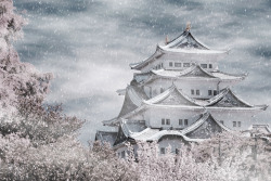 fuckyeahjapanandkorea:  Japan Nagoya . 日本.名古屋. Nagoya Castle 雪隱 - 名古屋城 IR紅外線攝影 (by Ming - chun ( very busy ))