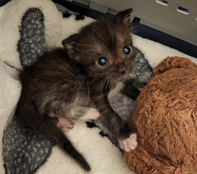 talesfromtreatment:Peppercorn&hellip;. what is that expression&hellip;.I