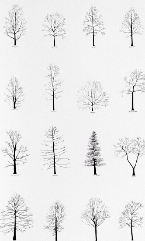 outonismo:  formal. on We Heart It - http://weheartit.com/entry/132560345