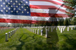 In Honor Of Memorial Day. Let&Amp;Rsquo;S Remember Those That Have Their Lives So