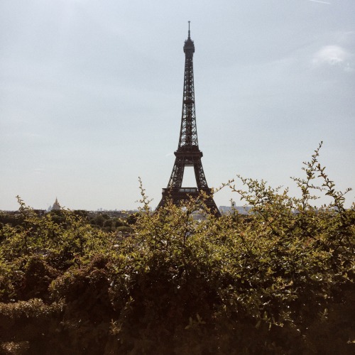 dragonarie:I was editing some old pics and I miss France very much.