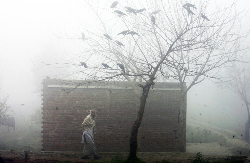A man walks during a foggy morning in Lahore, Pakistan on February 9, 2016. (K.M. Chaudary/AP)