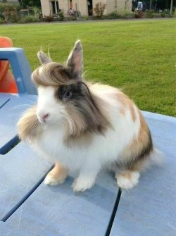 breadonly:  How this bun have better hair