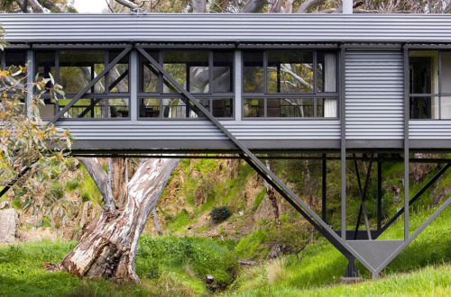 Bridge House, Ashbourne, project by Max Pritchard.