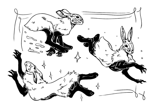 Weird Snow Bunny *:
