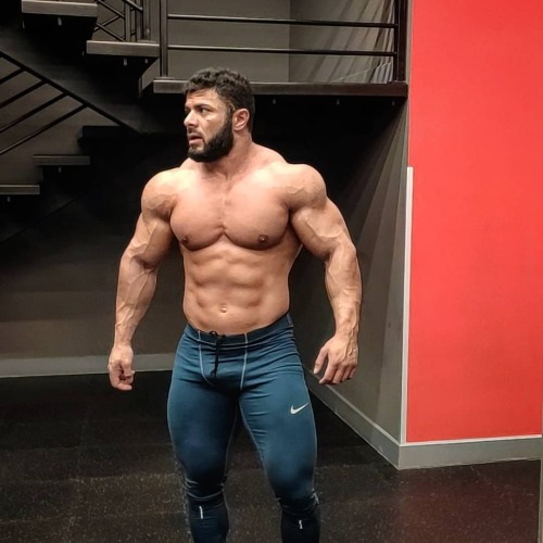 Musculos, Roids y Osos