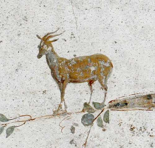 thefabricpress:Stabiae, near Pompeii: wall painting from the portico of Villa Poppaea.